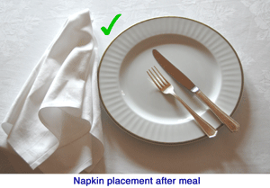 2napkins