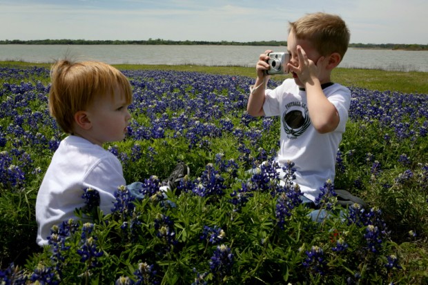 テキサスの花 ブルーボネット が見れる ダラス地域のお勧め Dallajapa Com