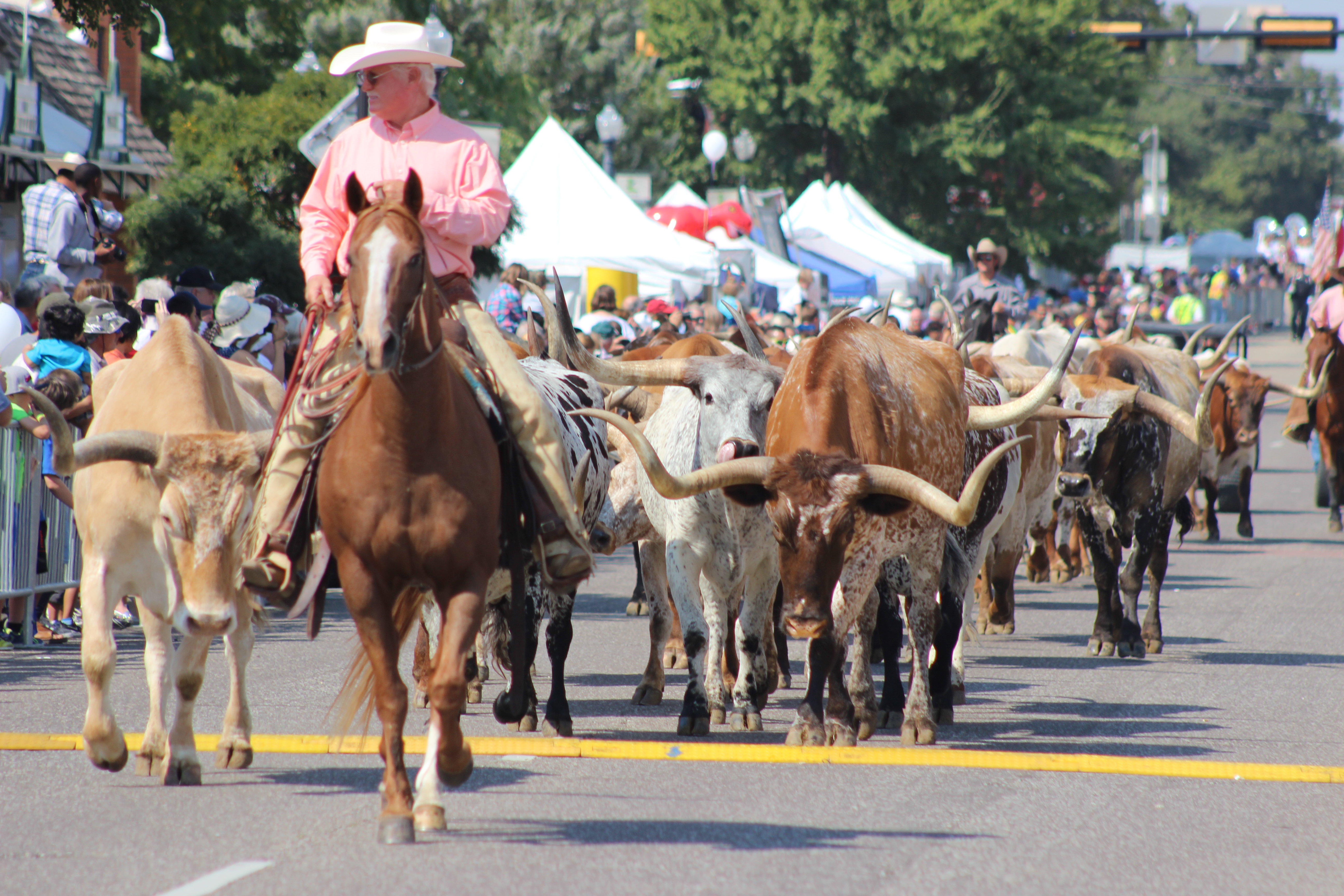 Lewisville市：ウェスターン祭り dallajapa