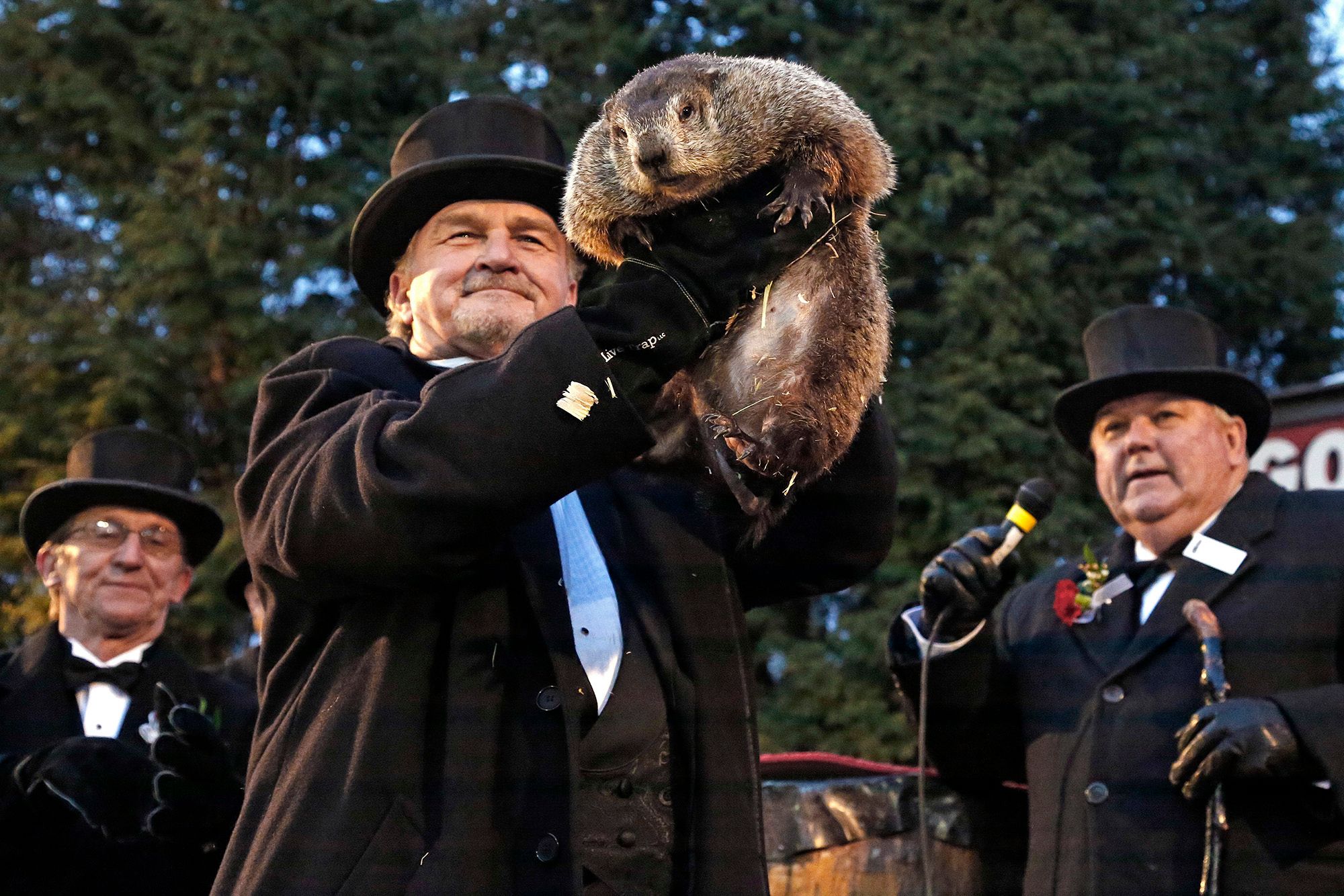 2月：アメリカのグラウンドホッグデー（Groundhog Day）って何？ dallajapa